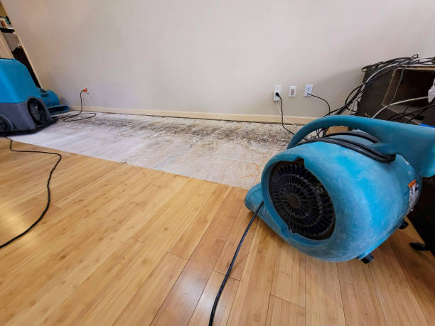 Professional Basement Flood Cleanup technician working in Hewitt, WI